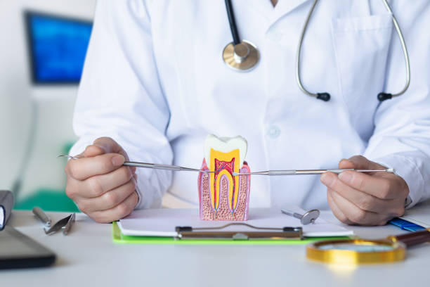 Best Emergency Gum Treatment in Lake Hallie, WI